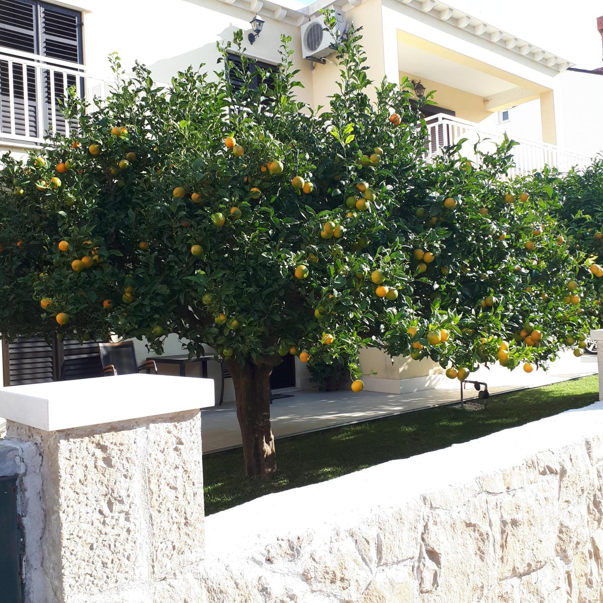 Antares Apartments Cavtat Exterior foto